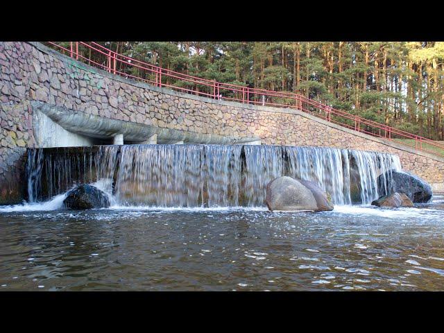 Цнянское водохранилище (#Минск): водопад, зона отдыха, лебеди, утки (20.11.2021) #Беларусь | 4k