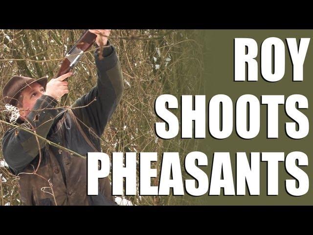 Driven pheasants - Roy goes on a shoot day in Hampshire