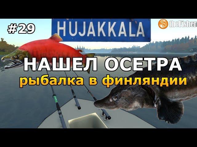 Нашел осетра на озере! Sturgeon Big fish theFisher Online [СТРИМ]