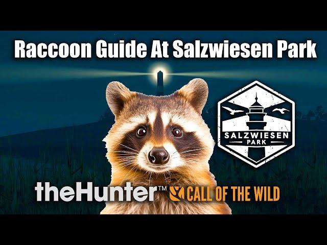 Raccoon Guide At Salzwiesen Park - theHunter Call of the wild