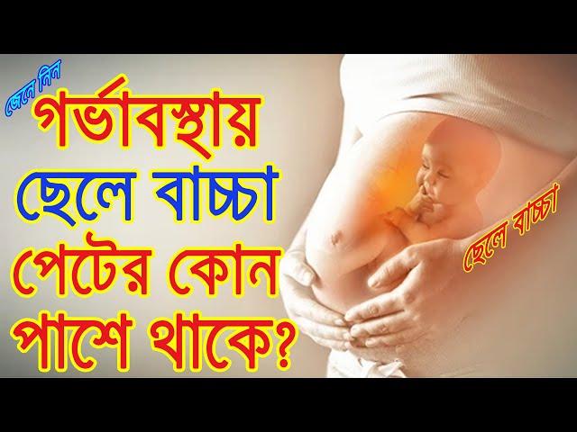 জেনে নিন -গর্ভাবস্থায় ছেলে বাচ্চা পেটের কোন পাশে থাকে।Womb Baby Gender.