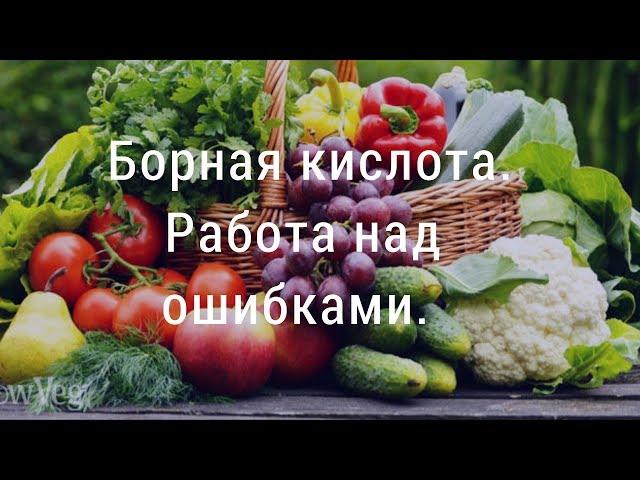 Борная кислота. Работа над ошибками