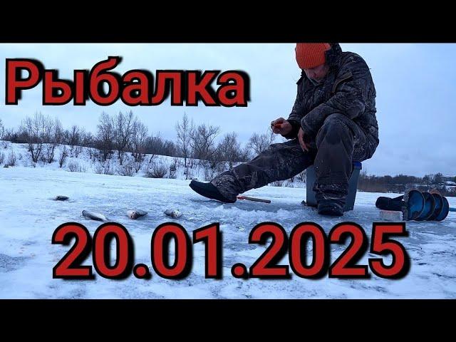 Рыбалка на кивок 20 января 2025 г.на диком озере! Глубина 8 м и здесь вся рыба! Зимняя рыбалка 2025