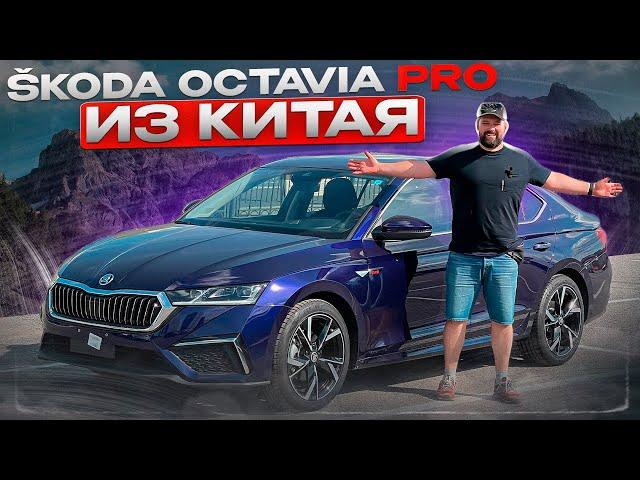 SKODA OCTAVIA PRO: длиннее Октавии А8, проекция, люк, DSG!