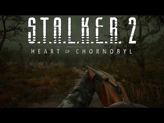 WE'RE BACK IN THE ZONE - S.T.A.L.K.E.R 2: Heart of Chornobyl