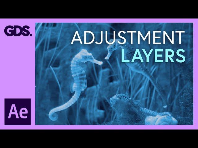 Adjustment Layers in After Effects Ep22/48 [Adobe After Effects for Beginners]