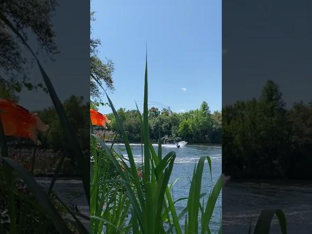 Here’s a Different Area to Watch Kitetails at Animal Kingdom 