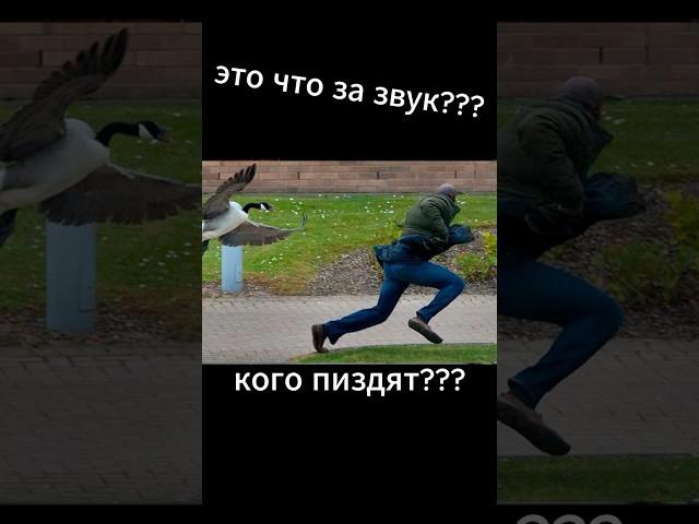 Sons Of The Forest / Дети напали #gaming #угар#sonsoftheforest#игры#юмор