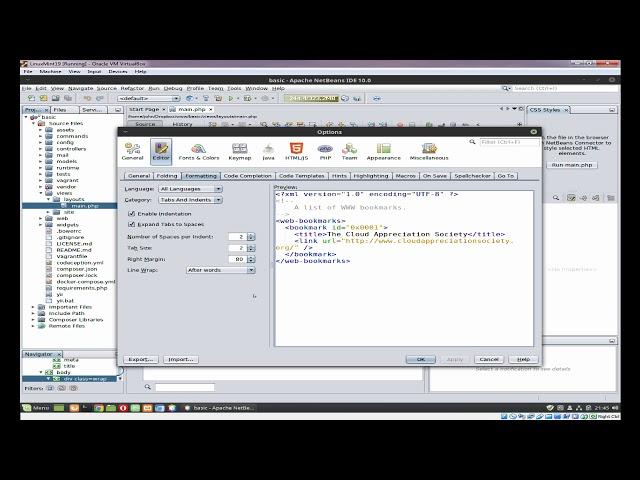 NETBEANS 101 - OPTIONS - EDITOR (FORMATTING) Programming for the Web