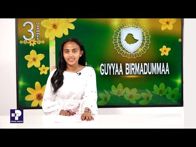 Oduu Piraayim | Qaammee 3, 2016 | Prime News | Prime Media