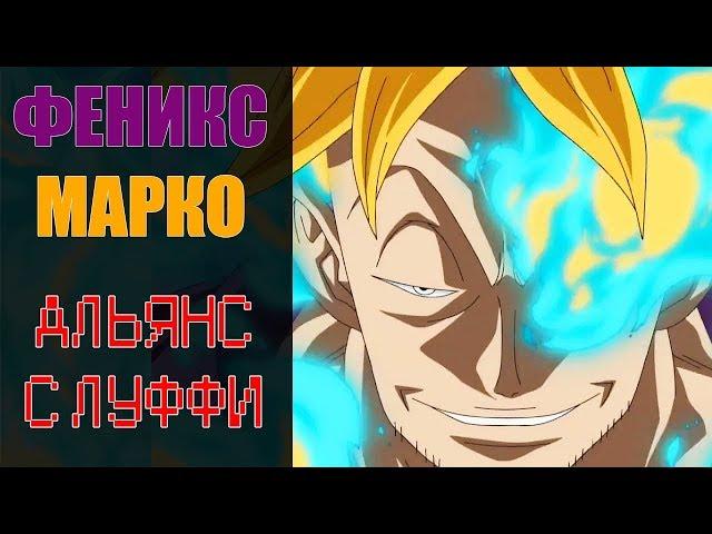 Phoenix Marco's ALLIANCE WITH LUFFY! | One Piece / Theory