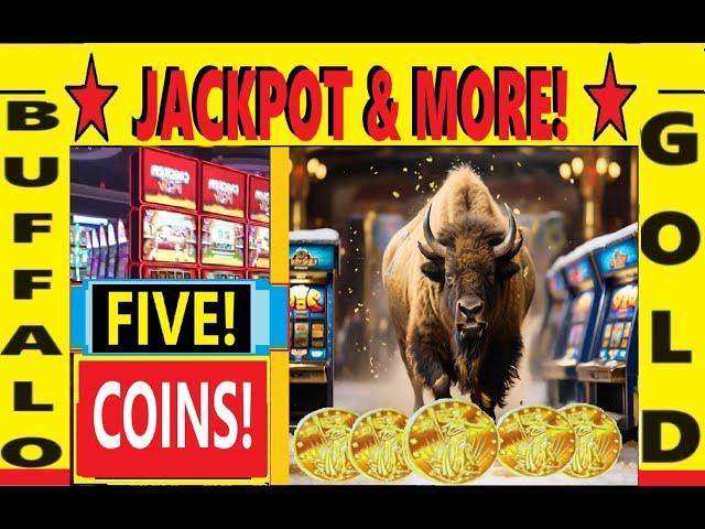 FIVE COINS!! (Part 2 of 2)  plus 15 GOLD HEADS with something you've NEVER SEEN!