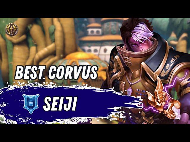 BEST Corvus GAME IN AGES 356K Healing Paladins Gameplay