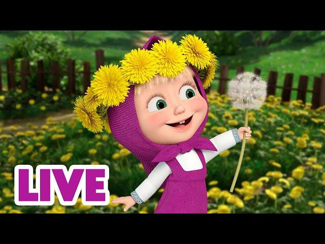  LIVE! Maşa İle Koca Ayı  Bitkiler ve çiçekler hakkında her şeyi öğrenin!  Masha and the Bear