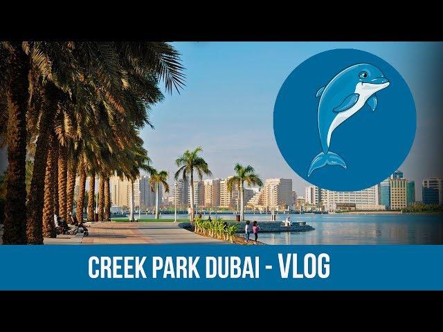 Крик парк Дубай. Creek Park Dubai - Vlog