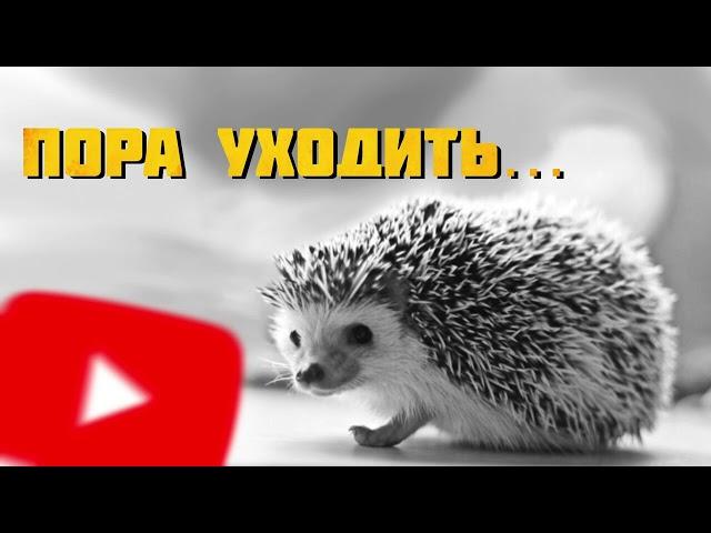 Последнее видео (не кликбейт) (перезалив)