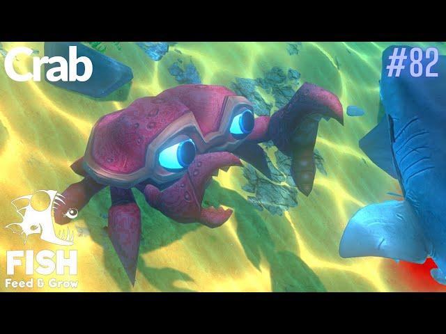 Feed And Grow Fish : Crab