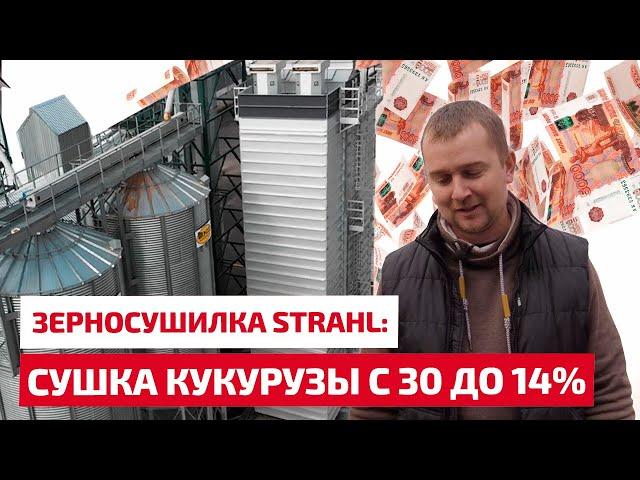 Сушка кукурузы с 30 до 14% на зерносушилке Штраль. Коротко и по делу.