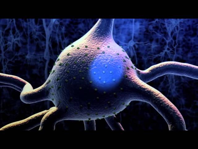 Optogenetics: A Light Switch for Neurons