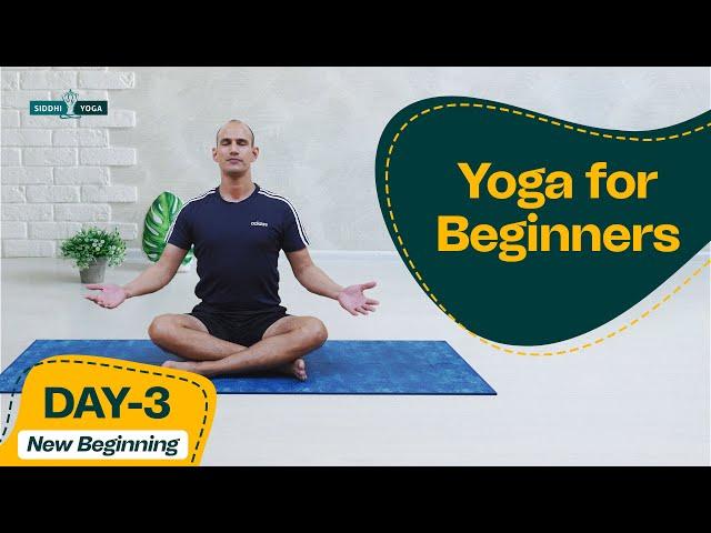 30 Days of Yoga for Beginners Journey with Yogi Tara | 30 Day Yoga Challenges | Day 3 New Beginning