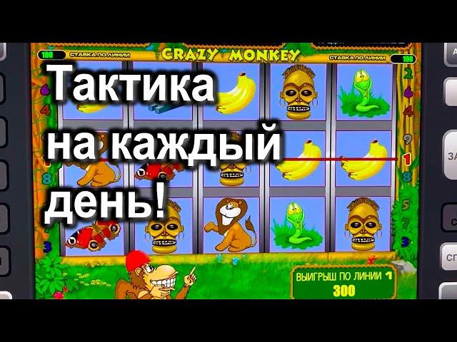 Играю так ежедневно! Как играть и выиграть в Crazy Monkey в Казино Вулкан Старс?