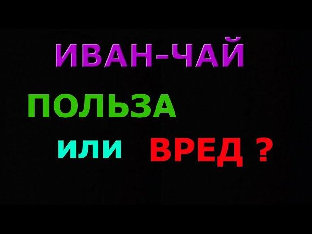 ИВАН-ЧАЙ : ПОЛЬЗА или ВРЕД?