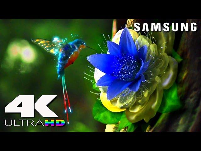 4K ULtra HD | SAMSUNG UHD Demo׃ LED TV