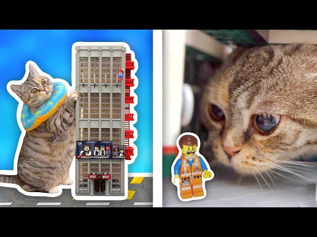 Giant Cat Destroys LEGO City