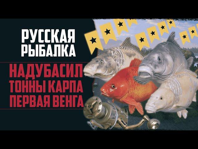 Новый Путь в РР4 #9  Фарм Большой Суммы на Венгу | Трофейная Раздача | Рыбалка на Цветных Карпов