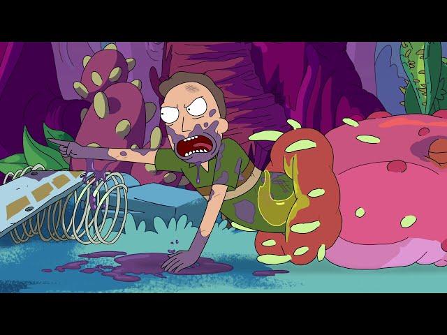 Jerry is a parasitic predator | Rick and Morty | Adult Swim