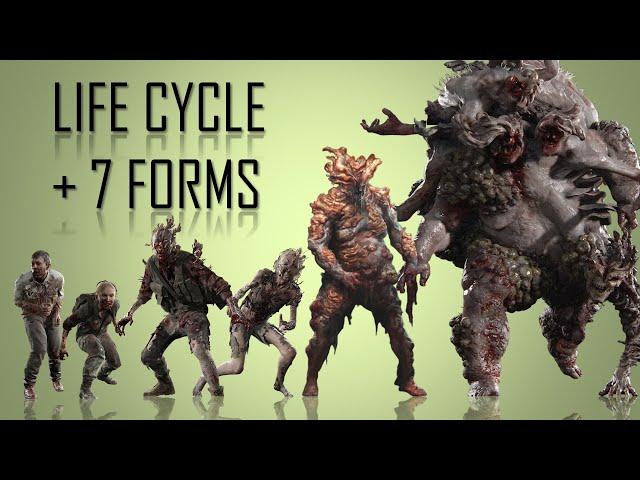 The 7 Forms Of Infected In The Last Of Us