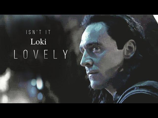 Loki | Lovely