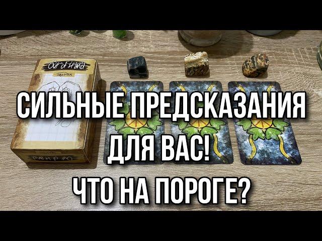 Сильные предсказания для вас! Что на пороге? Гадание на таро Расклад онлайн Свежие гадания ютуб