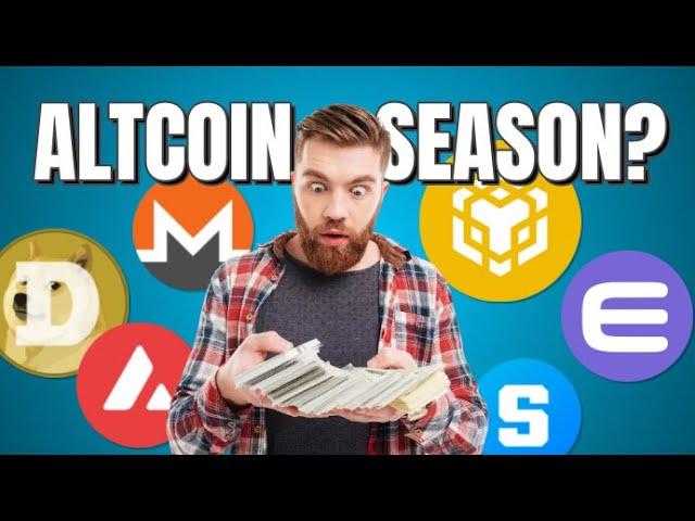 CRYPTO SAUCE.... next 100X COINS