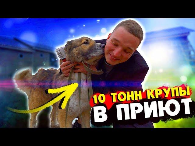 EDWARD BIL / КУПИЛ 10 ТОНН КРУПЫ / ОТВЁЗ В ПРИЮТ ДЛЯ ЖИВОТНЫХ