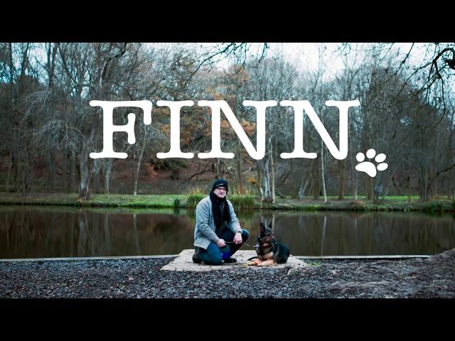 Finn | Britain's Bravest Dog