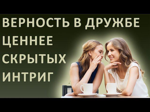 Истории из жизни. Верность в дружбе ценнее скрытых интриг