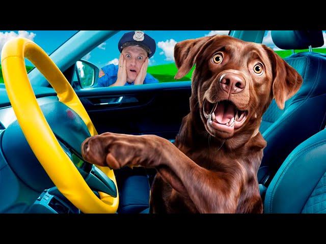 We are in the car Police Song | Nursery Rhymes & Children's Song | Rich and the Detective