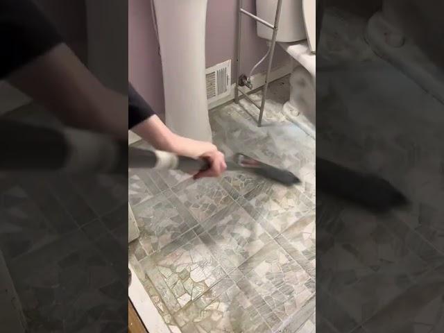 Cleaning ASMR scrubbing bathroom floors #cleaningvideos #cleaningmotivation #asmr #scrub #satisfying