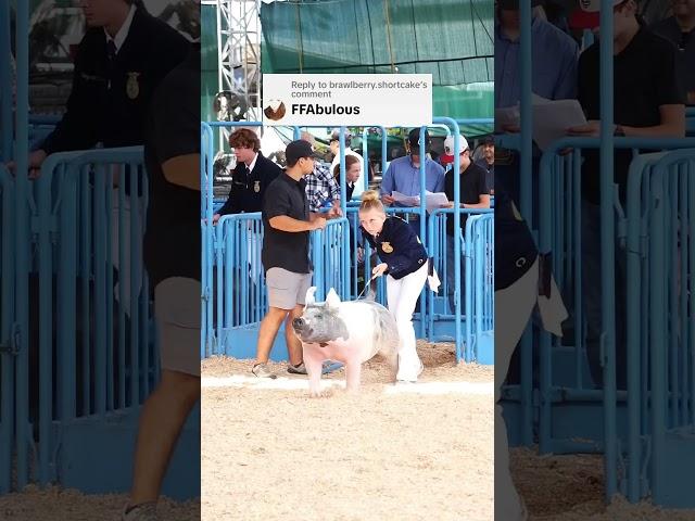 4-H to FFA! Krew and Karis last year and this year at State Fair! #showpigs #pigs