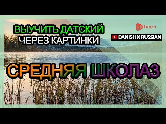 Выучить датский через картинки |датский словарь средняя школа3 | Golearn