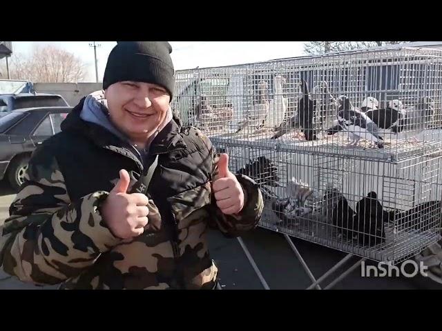 Ярмарка голубей, декоративных птиц и животных г.Бородянка Киевская область 20.02.2022 года. Часть2.