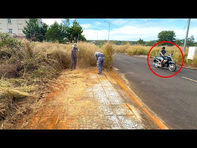 The man had a BAD ATTITUDE when he saw us filming a video of cleaning the sidewalk | Clean Up Lawn