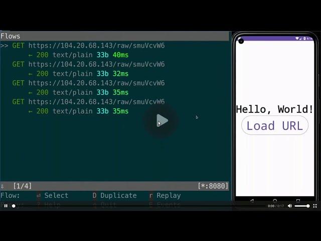 Read and Manipulate Network Traffic on Android with mitmproxy