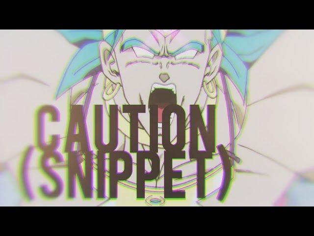 CAUTION (SNIPPET)