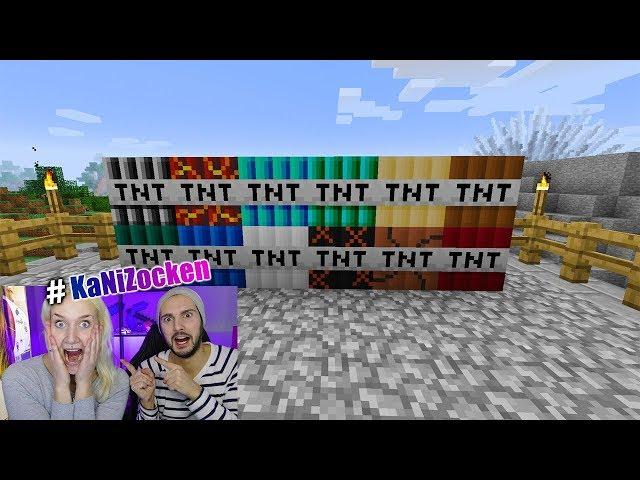 NINA REAGIERT AUF TNT MOD - Minecraft Welt komplett zerlegt #KaNiZocken | Überleben das die Tiere?