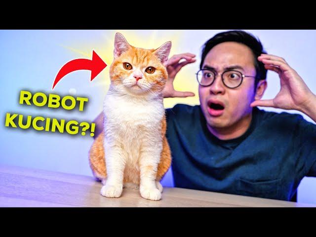 APAKAH KUCING INI CUMA MAINAN? KOK KAYAK ASLI?! 