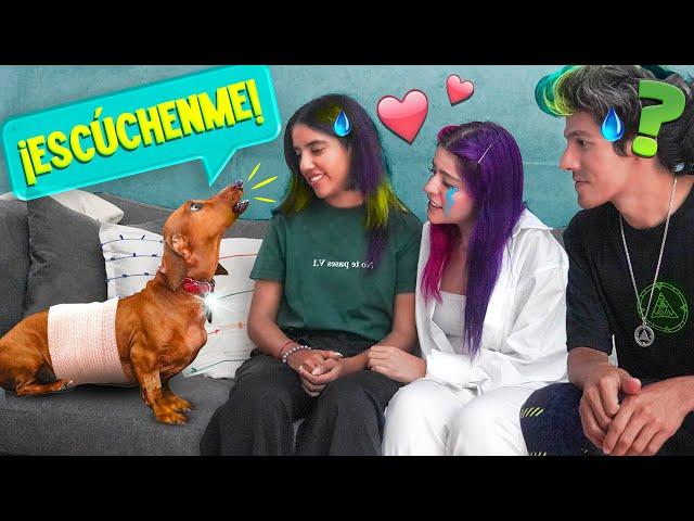 NUESTRO PERRO HABLA POR PRIMERA VEZ | LOS POLINESIOS VLOGS