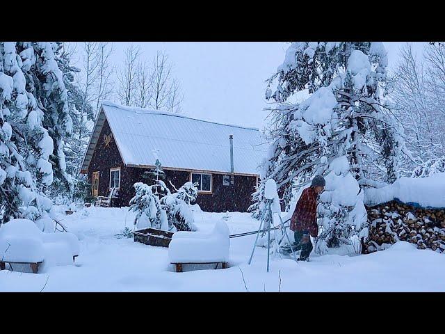 SNOWED IN: Winter Snowstorm Hits Our Simple Off Grid Cabin. Warm And Cozy.