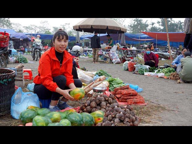 Ana's harvests papaya and taro to sell at the market to get money to buy ducklings.